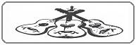 www.escoladecordasdacorrelha.com